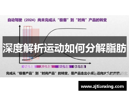 深度解析运动如何分解脂肪