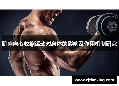 肌肉向心收缩运动对身体的影响及作用机制研究