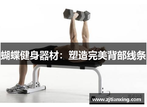 蝴蝶健身器材：塑造完美背部线条