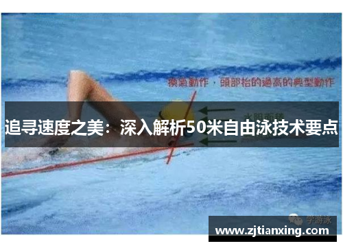 追寻速度之美：深入解析50米自由泳技术要点