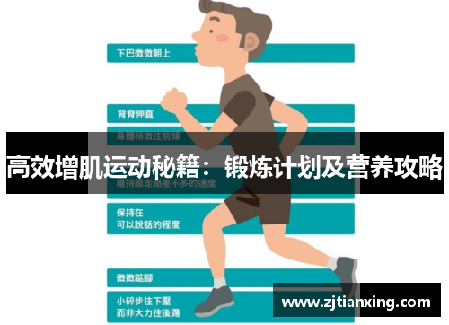 高效增肌运动秘籍：锻炼计划及营养攻略