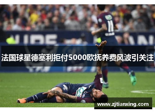法国球星德塞利拒付5000欧抚养费风波引关注